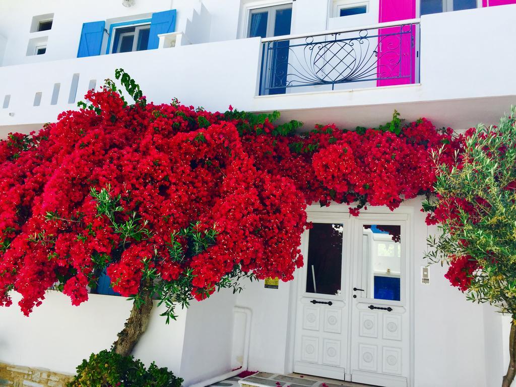 Alikí Aphrodite Boutique Hotel מראה חיצוני תמונה